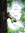 eLPy eLPy | 86 comments