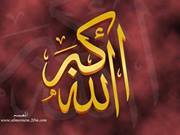 سمير الشافعى