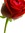 Rose Henke