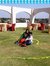 Mohit G...