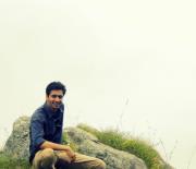 Manish Dhiman