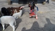 Qian Wang