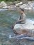 Anand K...