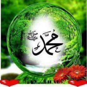 Elzain Mohammed