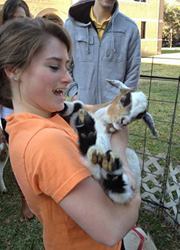 Nicki Chamberlain-simon