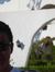 Ahmed H...