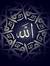 Ahmed H...