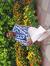 Ramesh ...