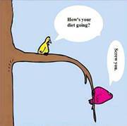 Michelle Morris conley