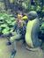Catur S...