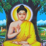 Amit Chouhan