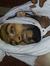Ahmad B...