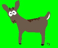 Caeleb