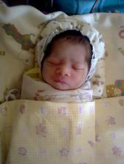 Mukesh Shah
