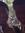 Dru Hinds