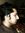Zahid H...