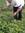 Nur Sahid