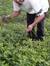 Nur Sahid