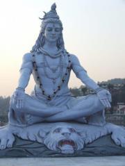 Ravi Athotra