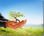 المدربة عفاف القاضي