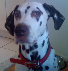 Christopher Barillas