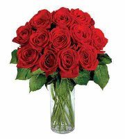 Tabitha Tranquille cairns