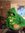 member photo member photo