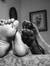 Dalia M...