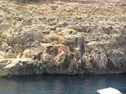 Ангел Духов