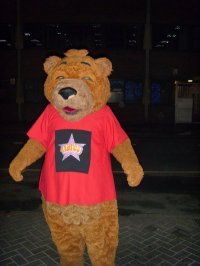 Flares Bear