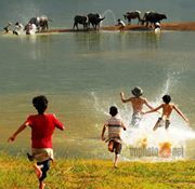 Hoang Anh