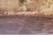 Андрій Біклян