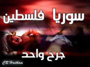 راكان المغربي