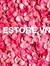 Estore Vn