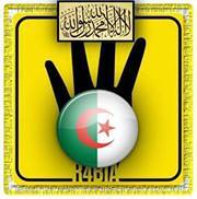 محمد أبو عبد الرحمن