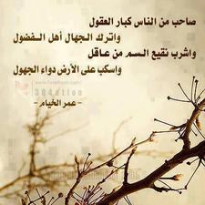 Alaa Abdullah