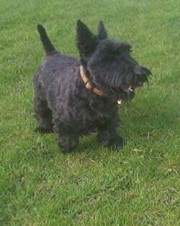 Fabpoptarthotmail.com