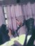 Ahmed N...
