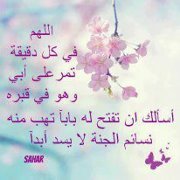 عمرو عبدالمنعم