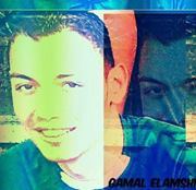 Gamal Elamshity