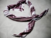 علي المالكي