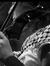 Sahar R...