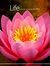 Ramana ...
