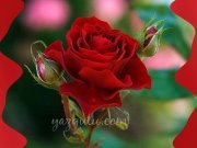 عبدالله الاثري