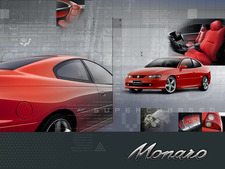 Raymond (car fanatic)