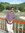 Vinay V...