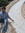 Vinay K...