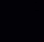 د. أحمد عبد الدايم