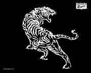 Jochen Raedschelders