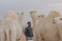 Fahad Alalloush
